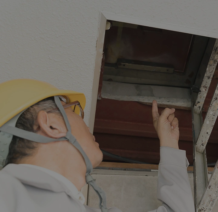 天井裏の害獣対策